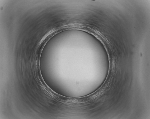 X0000087411450200704201008