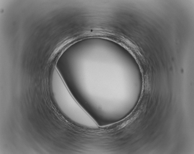 X0000087411453200704201008