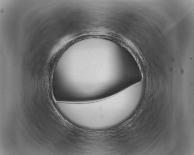 X0000087411456200704201008