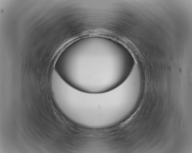 X0000087411457200704201008
