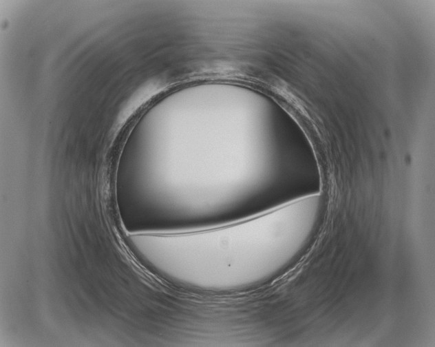 X0000087411458200704201008