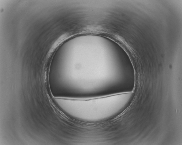 X0000087411459200704201008