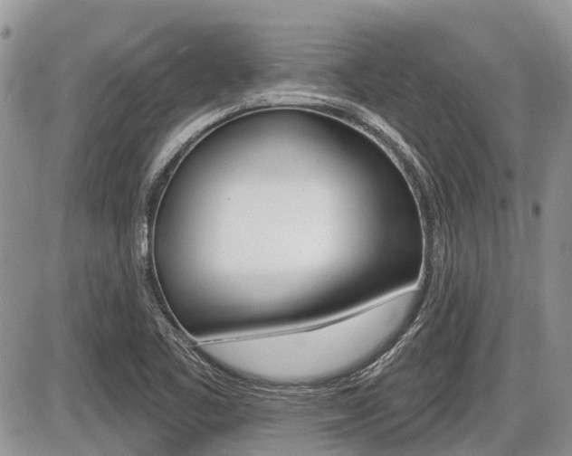 X0000087411461200704201008