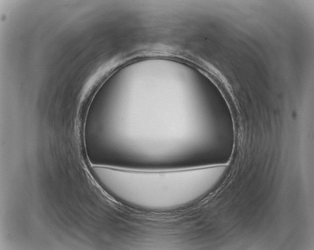 X0000087411464200704201008