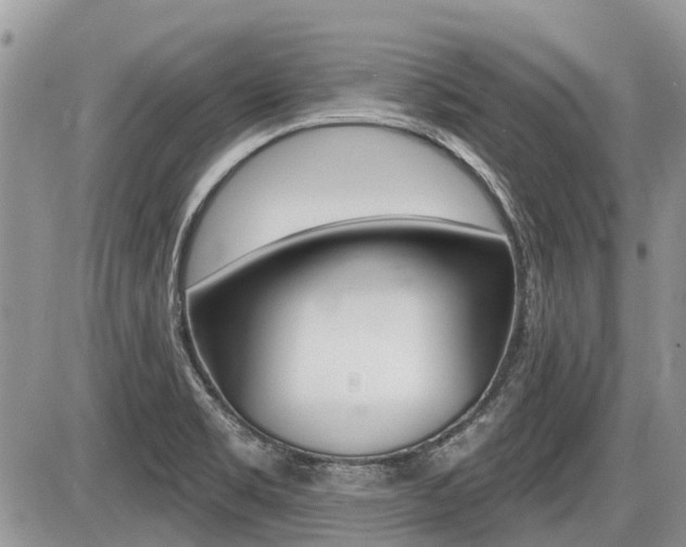 X0000087411469200704201008