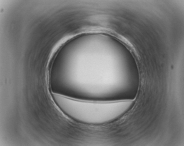 X0000087411472200704201008