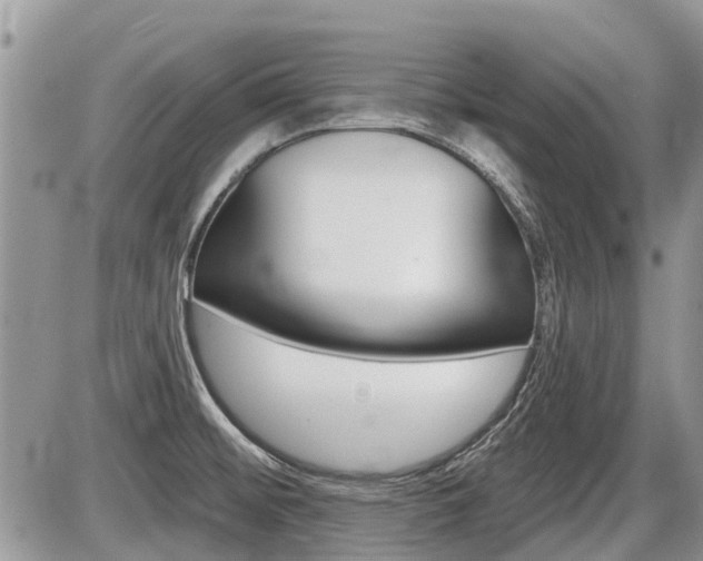 X0000087411476200704201008