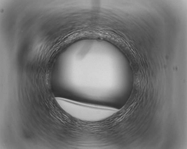 X0000087411490200704201007