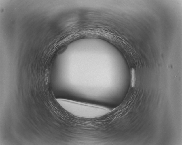 X0000087411491200704201007