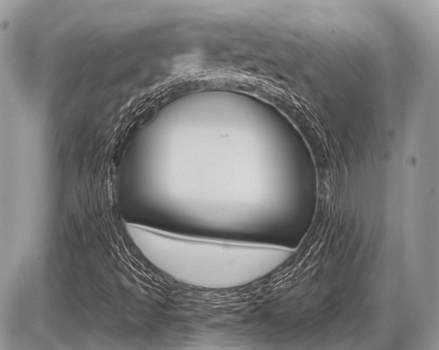 X0000087411493200704201007