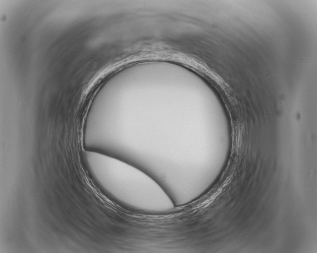 X0000087411498200704201007