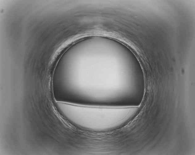 X0000087411507200704201007
