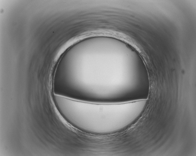 X0000087411523200704201007