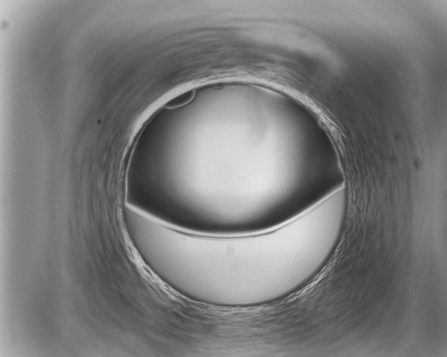 X0000087411534200704201008