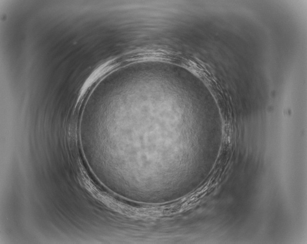 X0000087410004200704201412