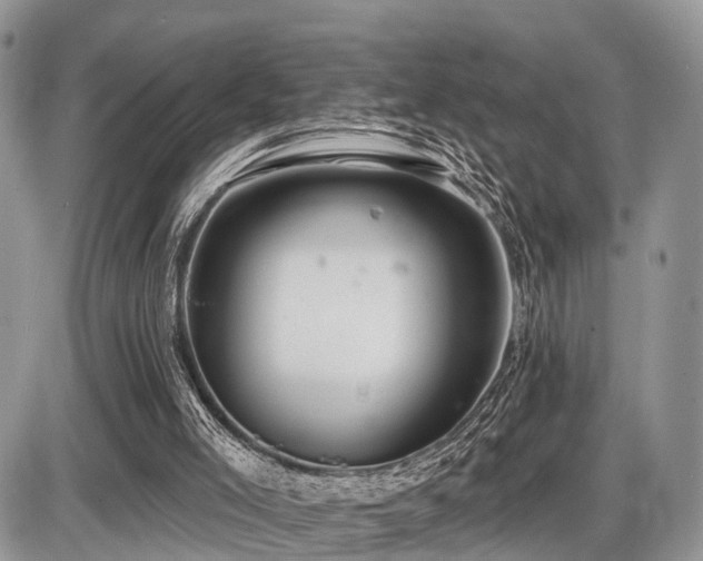 X0000087410005200704201412