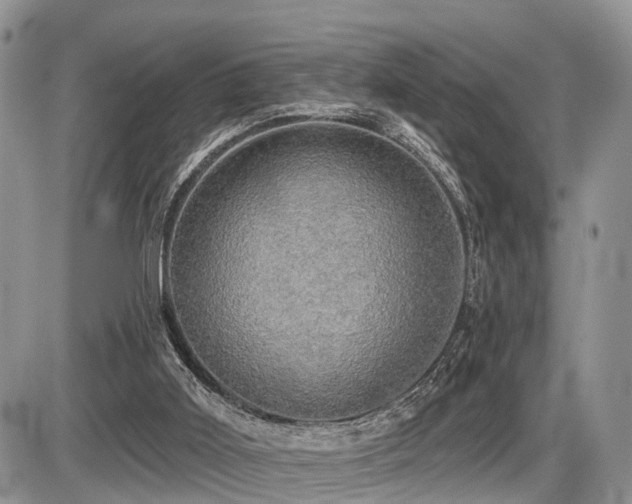 X0000087410011200704201412