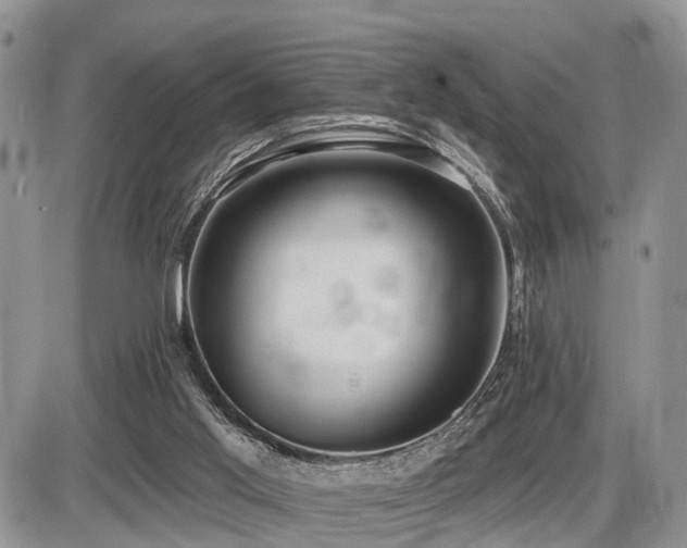 X0000087410013200704201412