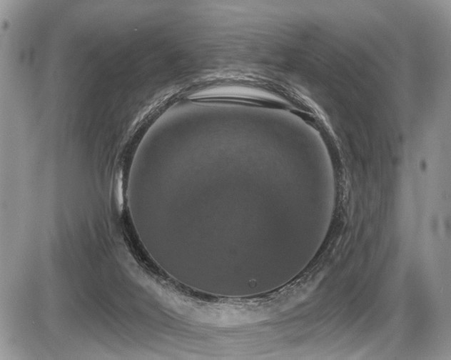 X0000087410020200704201412