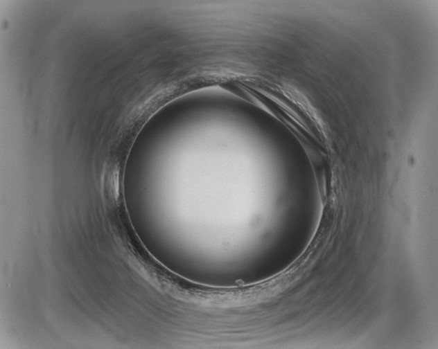 X0000087410021200704201412