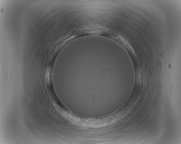 X0000087410026200704201412
