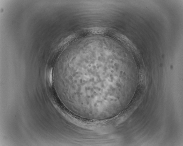 X0000087410028200704201412