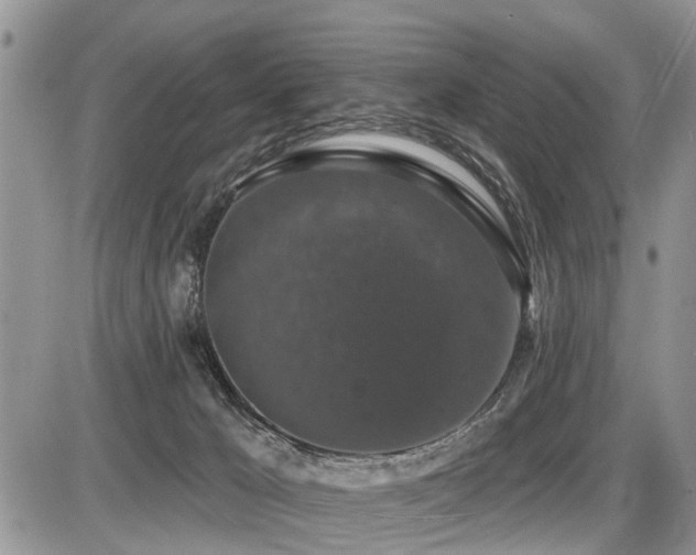 X0000087410029200704201412