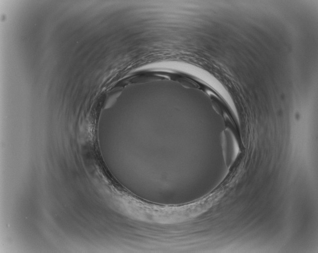 X0000087410039200704201412