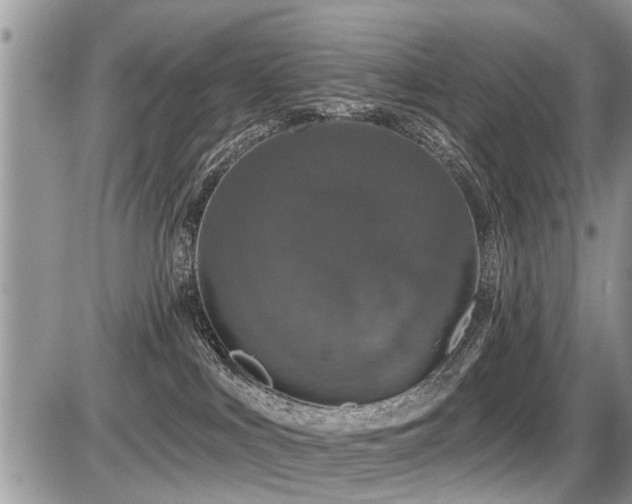X0000087410043200704201412