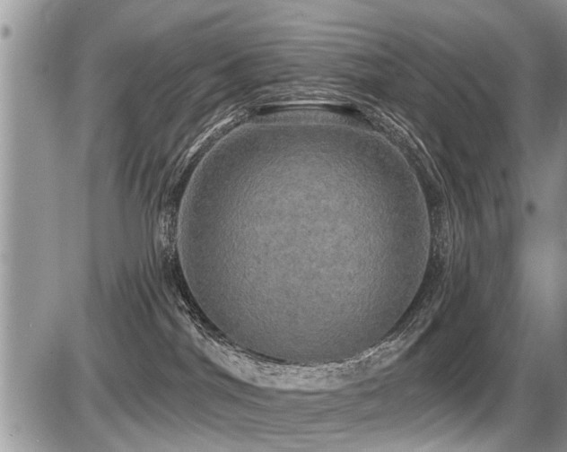 X0000087410044200704201412