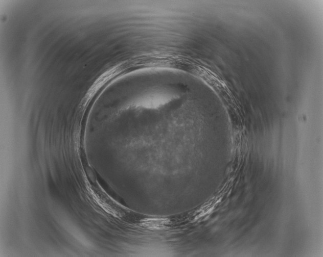 X0000087410051200704201411