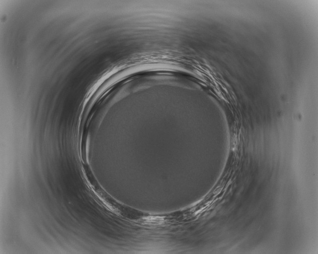 X0000087410052200704201411