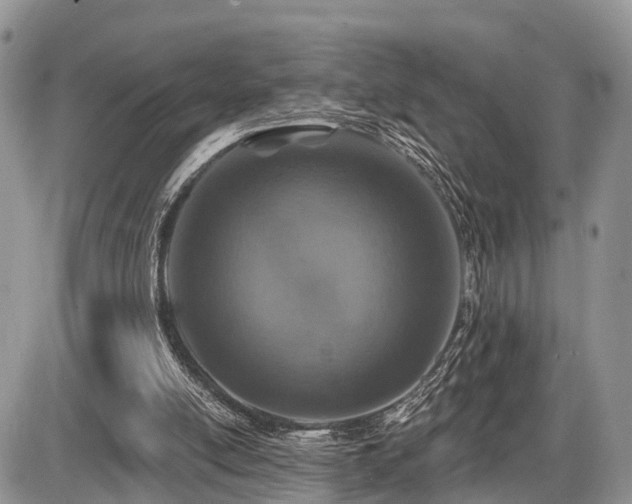 X0000087410054200704201411