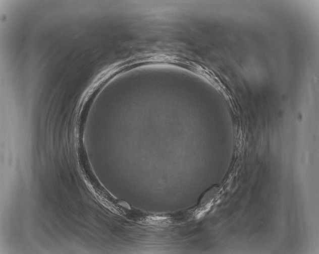 X0000087410055200704201411
