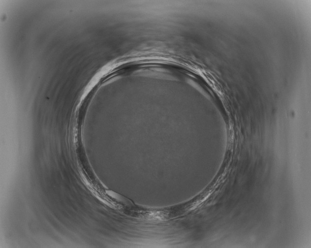 X0000087410056200704201411