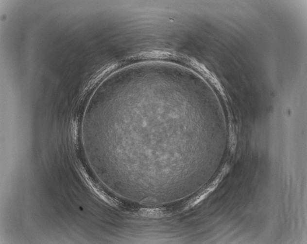 X0000087410057200704201411