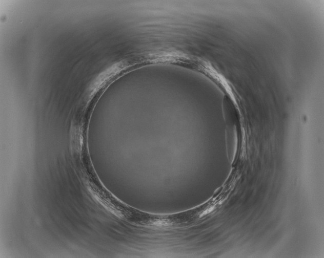 X0000087410059200704201411