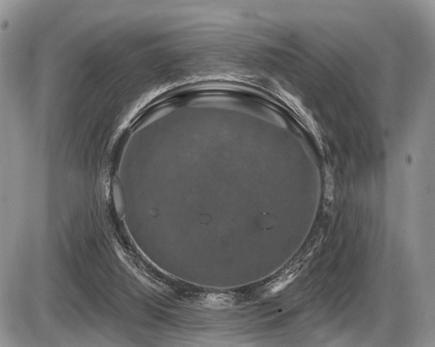 X0000087410060200704201411