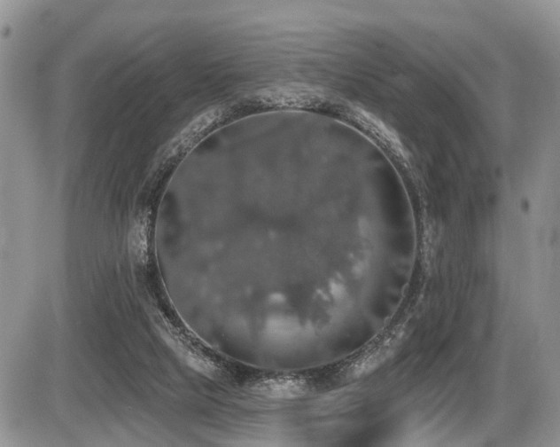 X0000087410065200704201411