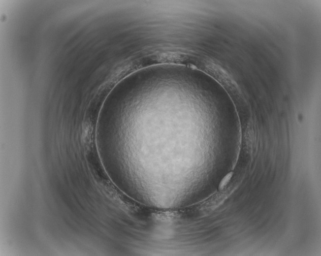 X0000087410079200704201411