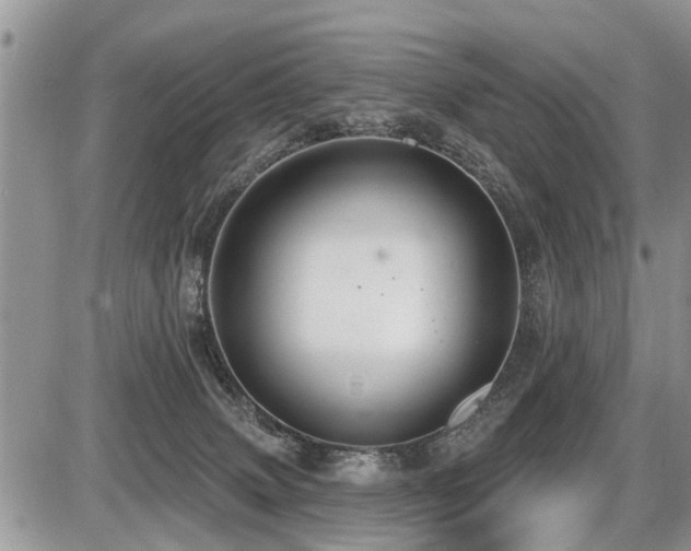 X0000087410083200704201411