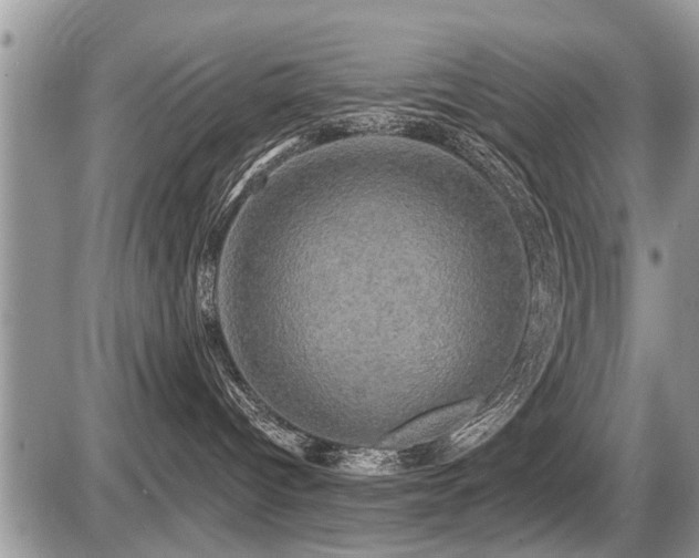 X0000087410096200704201412