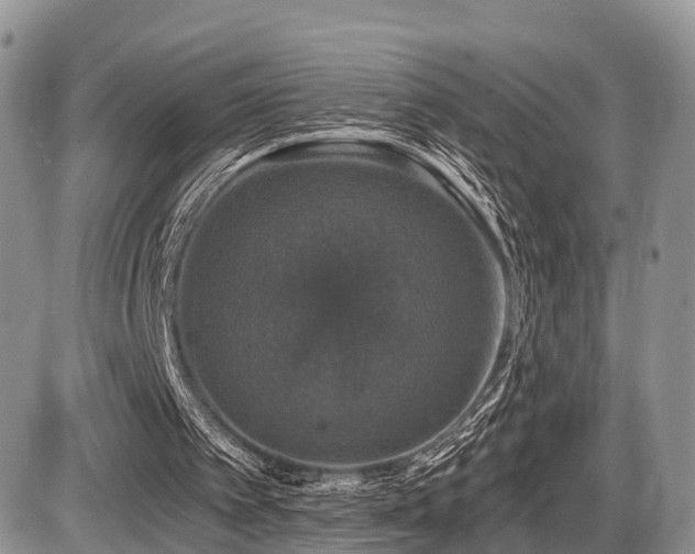 X0000087410097200704201411