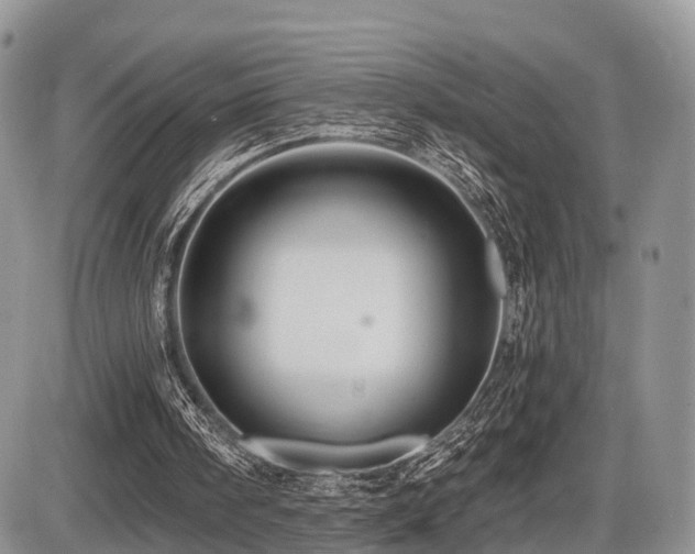 X0000087410098200704201411