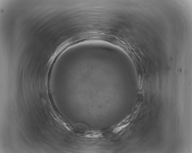 X0000087410099200704201411
