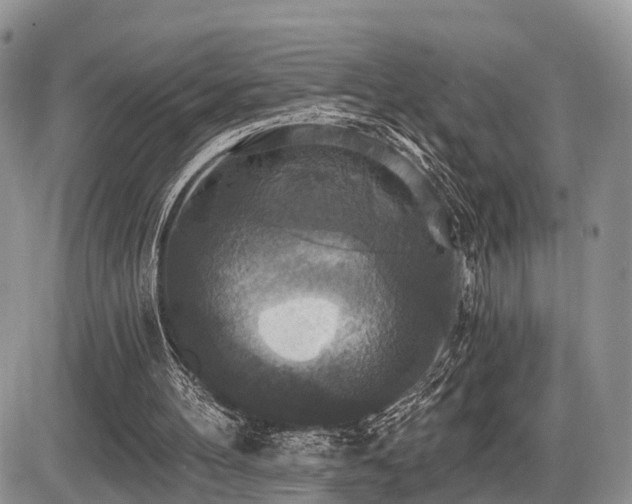X0000087410100200704201411
