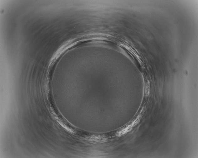 X0000087410101200704201411