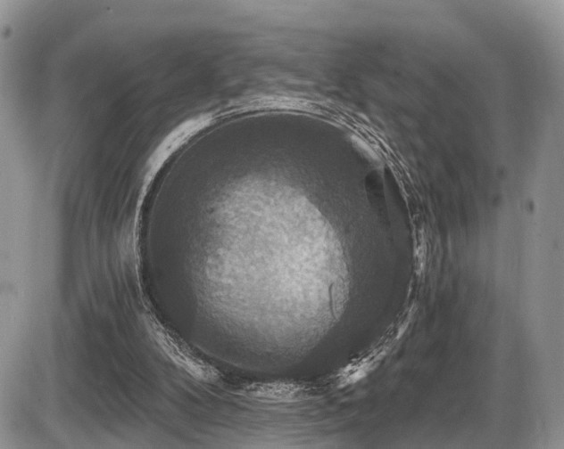 X0000087410104200704201411