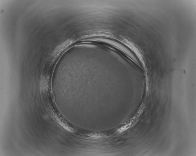 X0000087410105200704201411