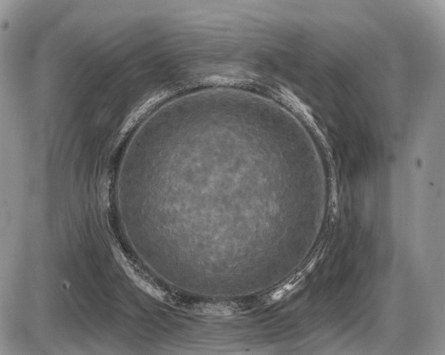 X0000087410106200704201411
